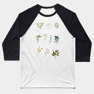 Delicate Botanical Pieces Baseball T-Shirt